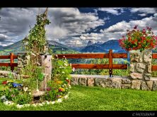 garten eden.jpg
